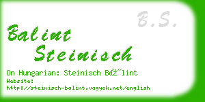 balint steinisch business card